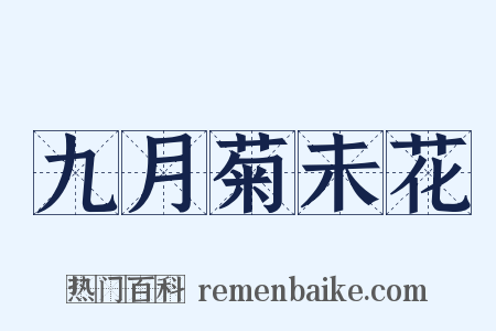 九月菊未花是什么意思的图片
